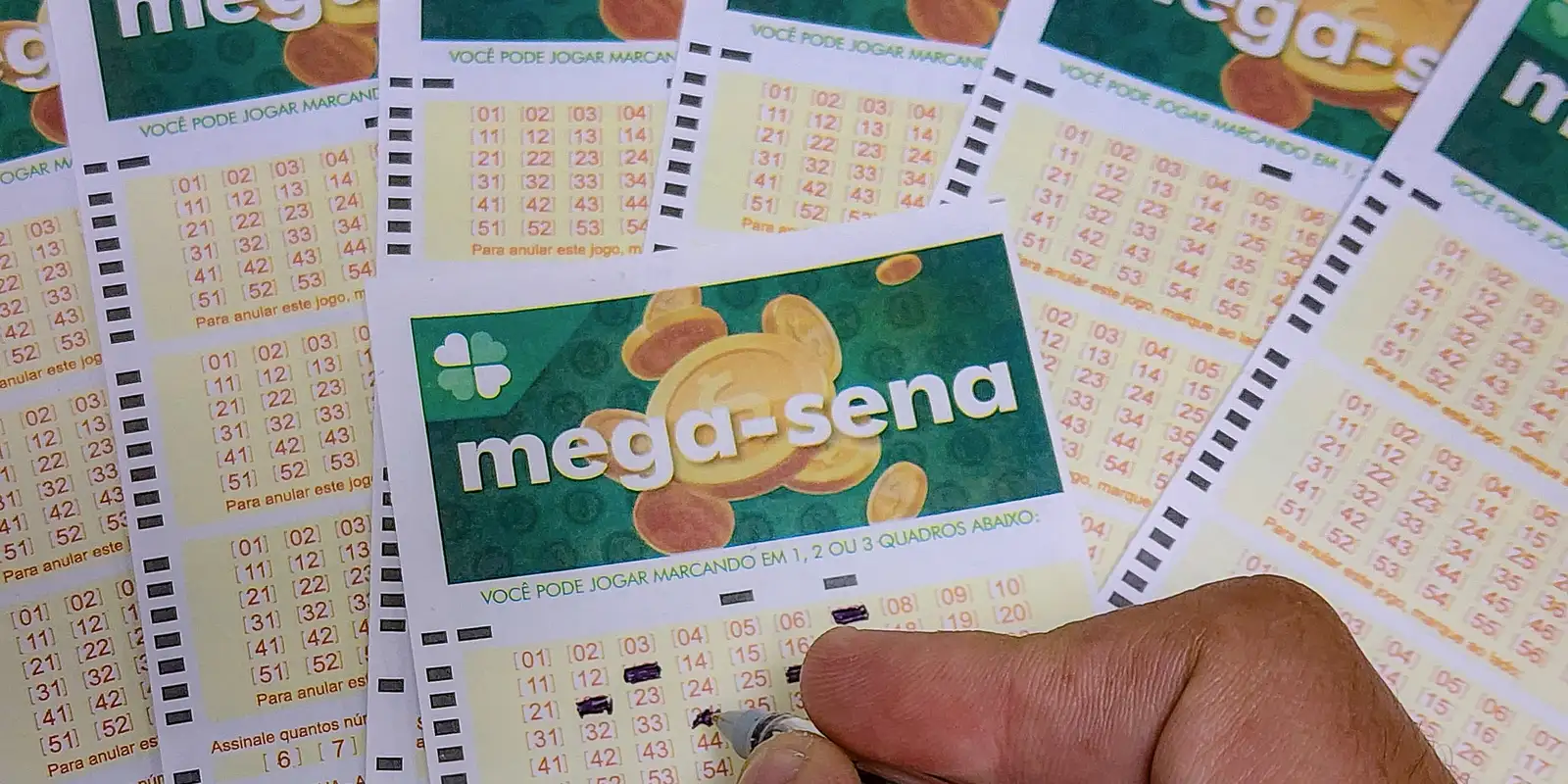 Aposta de Blumenau fatura prêmio de R$ 57 milhões na Mega-Sena