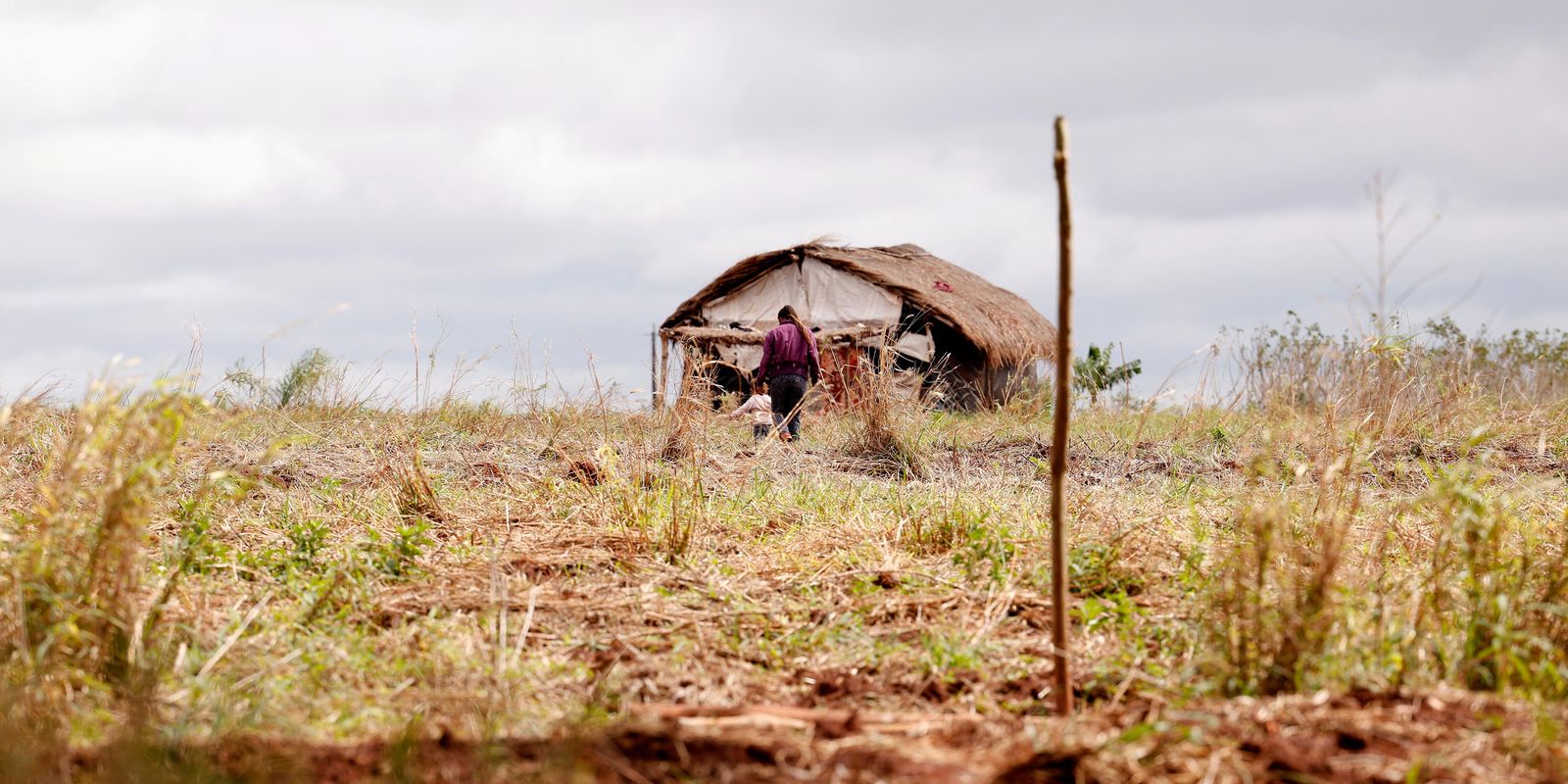 Mesmo com queda nos assassinatos, conflitos no campo crescem no Brasil, aponta Comissão Pastoral da Terra (CPT)