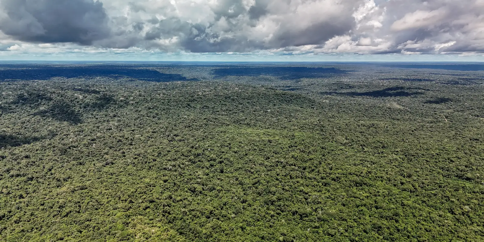 Ministério da Fazenda autoriza crédito de US$ 1 bilhão com o BID para o Eco Invest Brasil