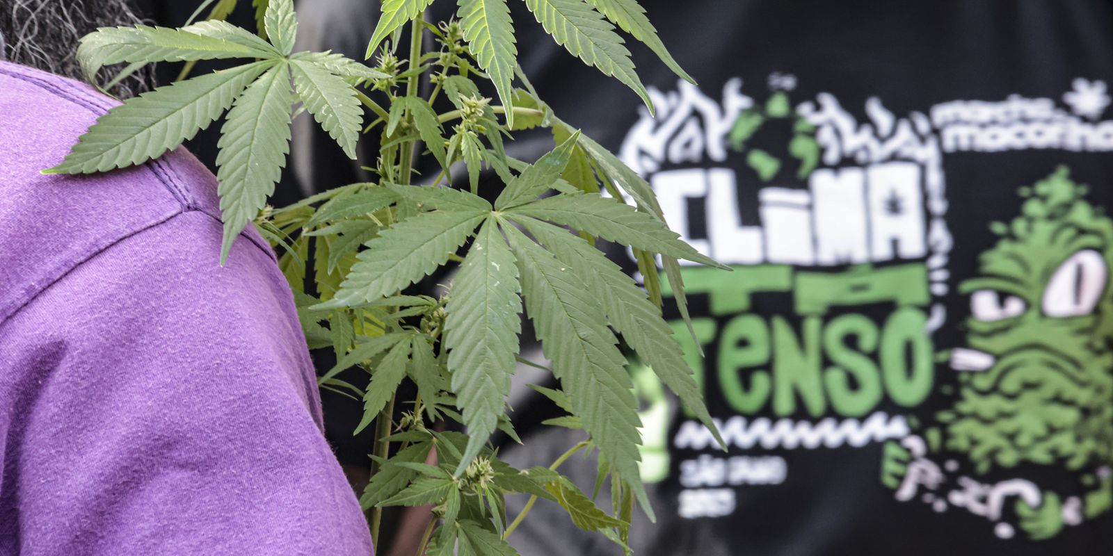 Prisão preventiva por drogas supera média de outros crimes no país