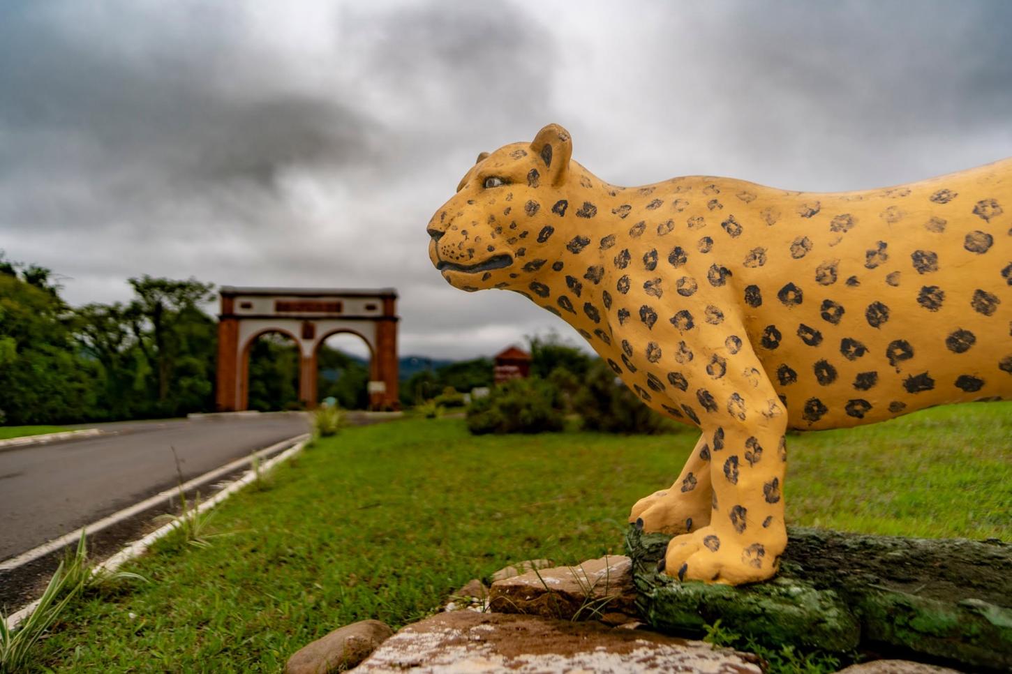 JAGUARI OU JAGUARY?