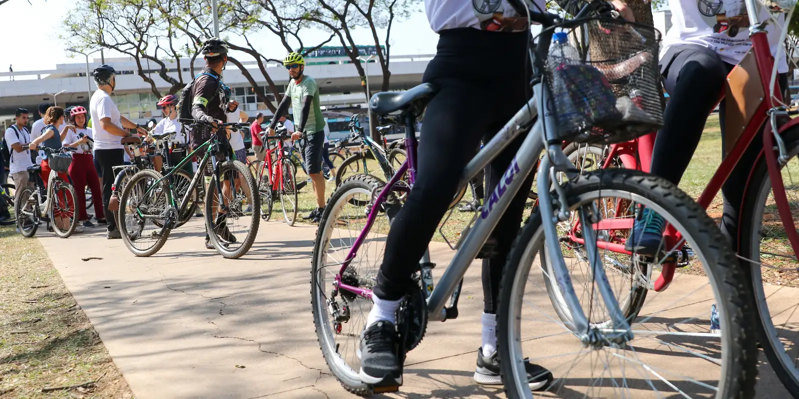 Justiça aceita denúncia por homicídio contra cinco acusados de matar ciclista