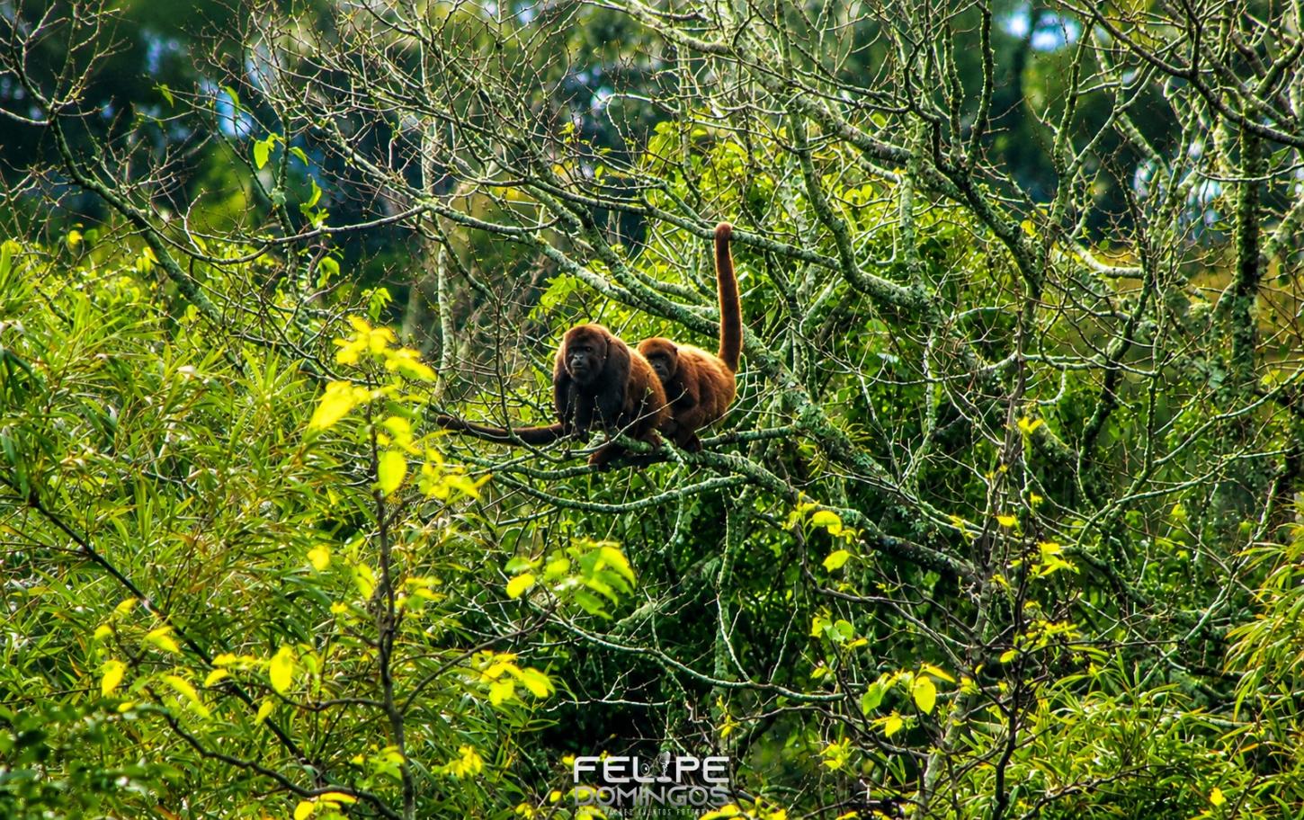 Opinião: Jaguari, Cidade Das Belezas Naturais 