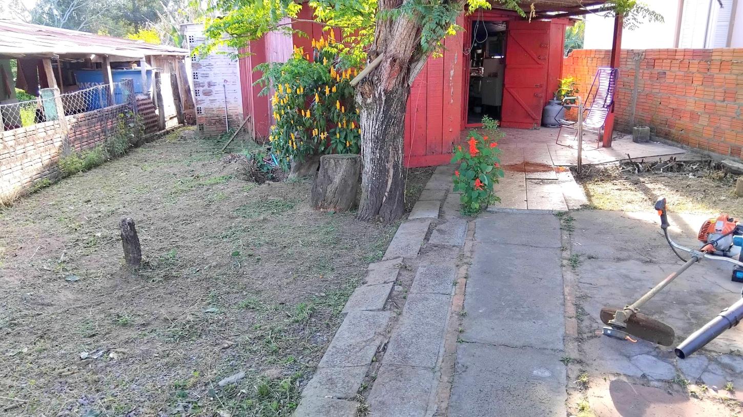 Foto: Reprodução.