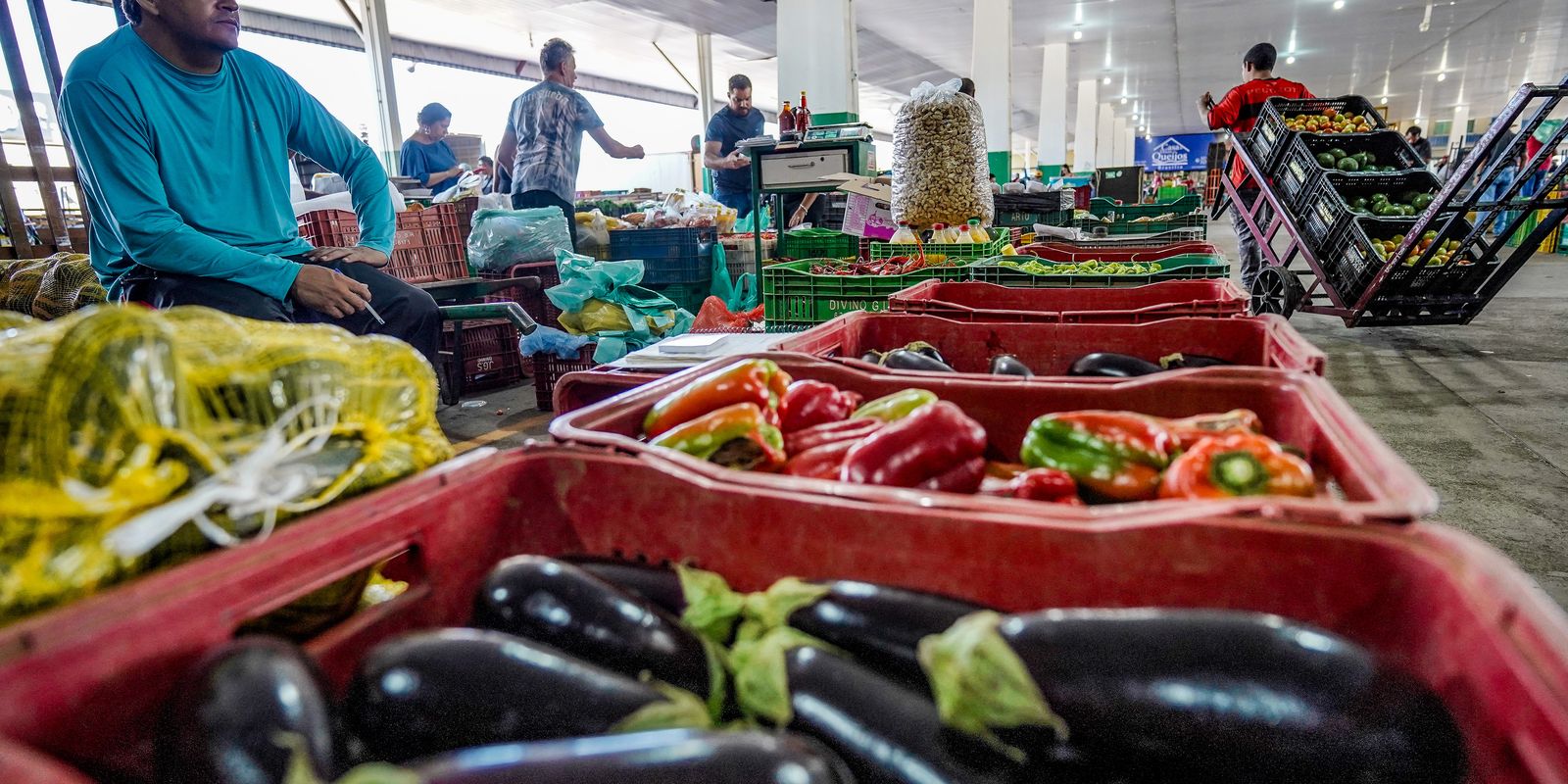 Campanha nacional atua contra o desperdício de alimentos no Brasil