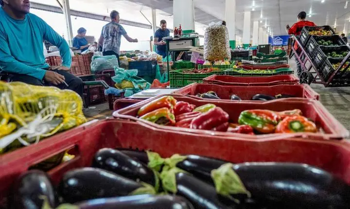 Campanha nacional atua contra o desperdício de alimentos no Brasil