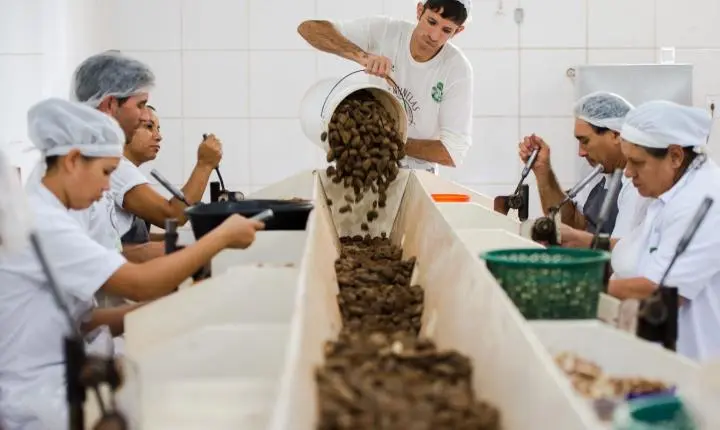 Consulta pública sobre bens sustentáveis no acordo Mercosul-UE encerra nesta quarta-feira