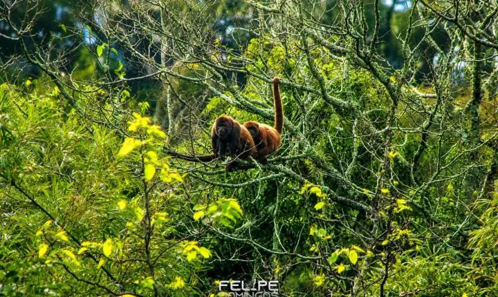 Opinião: Jaguari, Cidade Das Belezas Naturais 