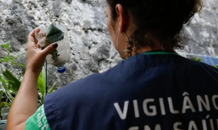 Estado de São Paulo registra mais de 58 mil casos de dengue em 2024